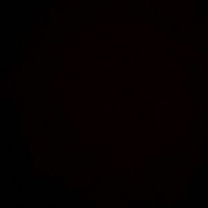 Meet your Posher, Tommy